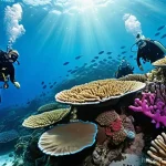 다이빙 강사로서의 응급 상황 대처 - **Prompt 1: Calm Guidance through a Vibrant Reef**
    "A highly experienced and calm diving instruc...