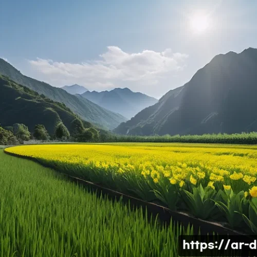 다이빙 강사 자격증 취득 비용 관련 이미지 1