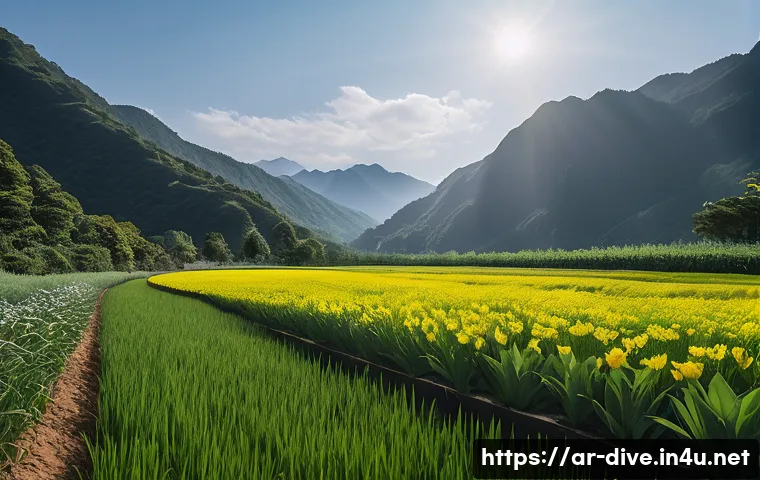 다이빙 강사 자격증 취득 비용 관련 이미지 1